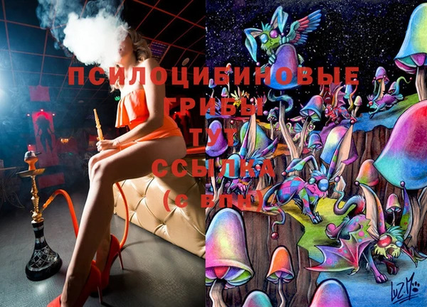 каннабис Аркадак